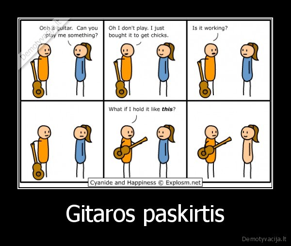 Gitaros paskirtis