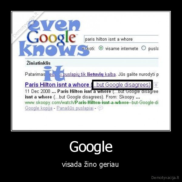 google, visazinis