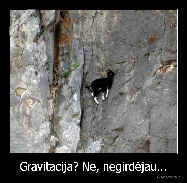 gravitacija,kalnu,ozys