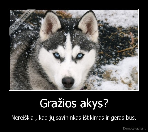 Gražios akys?