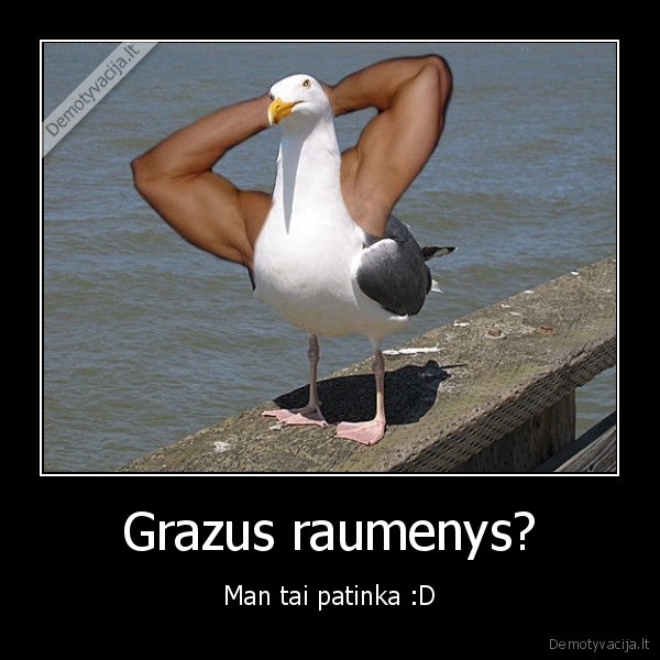 Grazus raumenys?