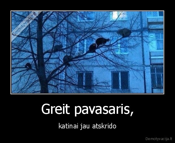 Greit pavasaris,