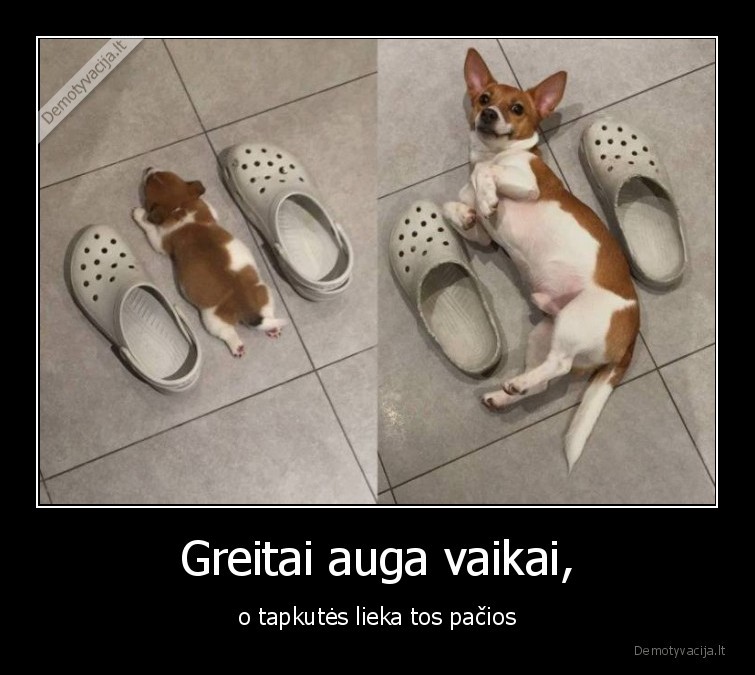 suo,kroksai,crocs,slepetes