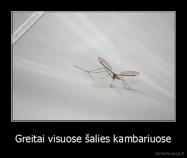 Greitai visuose šalies kambariuose