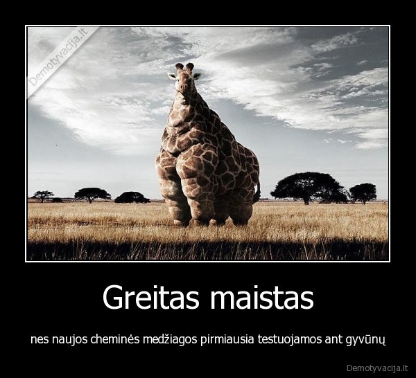 Greitas maistas