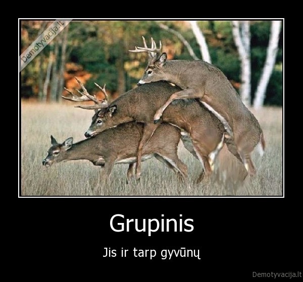 Grupinis