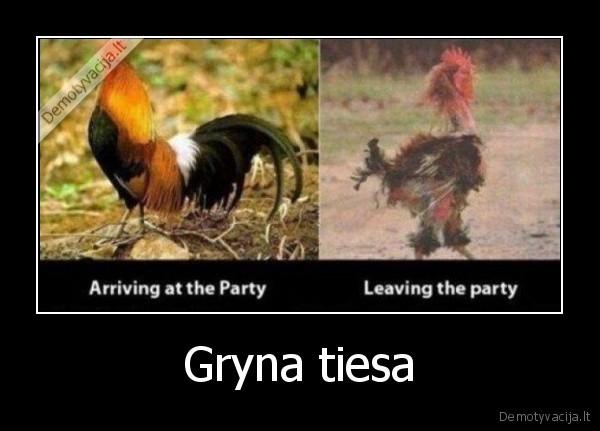 Gryna tiesa