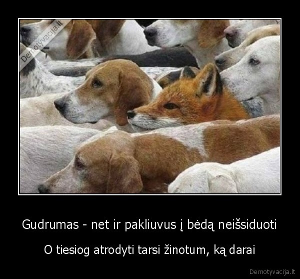 Gudrumas - net ir pakliuvus į bėdą neišsiduoti