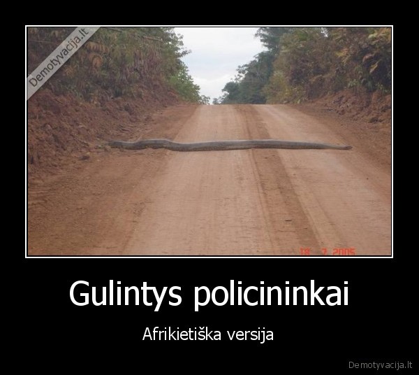 Gulintys policininkai