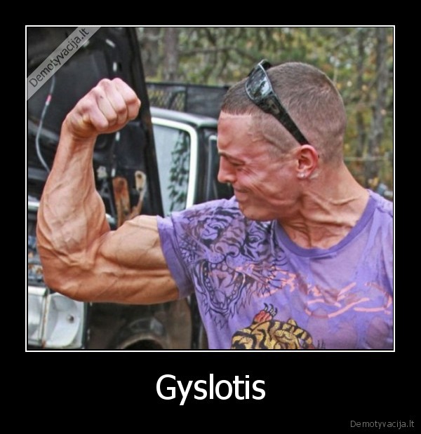 Gyslotis