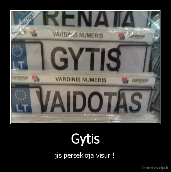 gytis