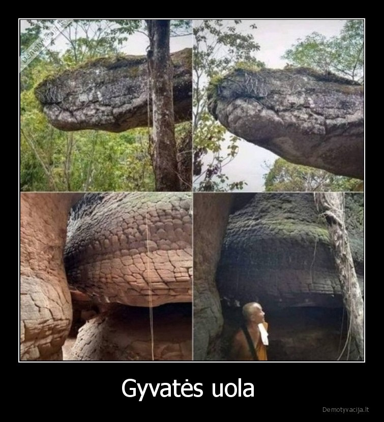 uola,gyvate,wow,vaizdas