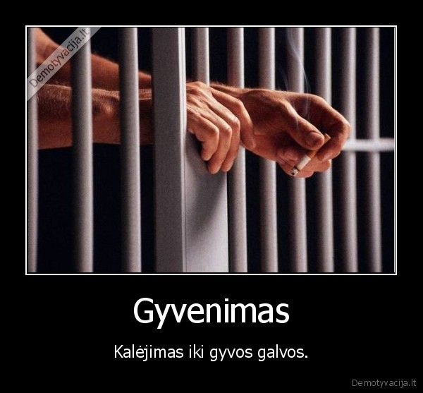 Gyvenimas