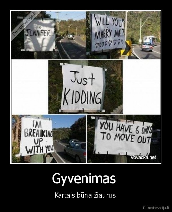 Gyvenimas 