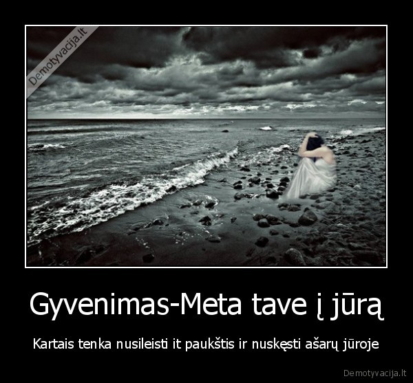 it,paukstis,jura,meile,gyvenimas,tyla