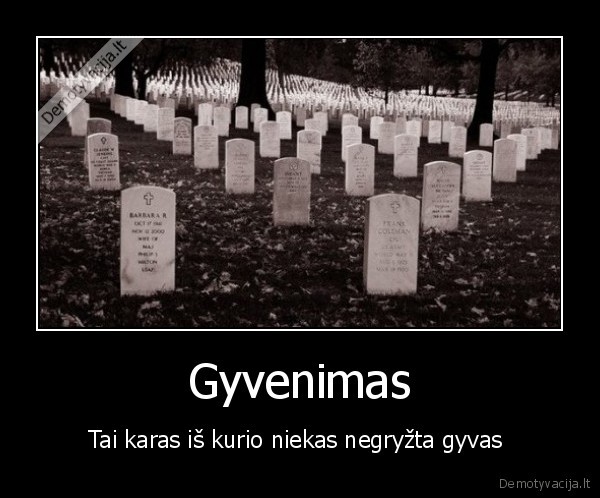 Gyvenimas