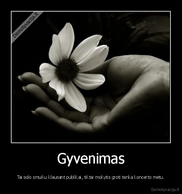 Gyvenimas