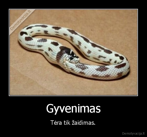 Gyvenimas