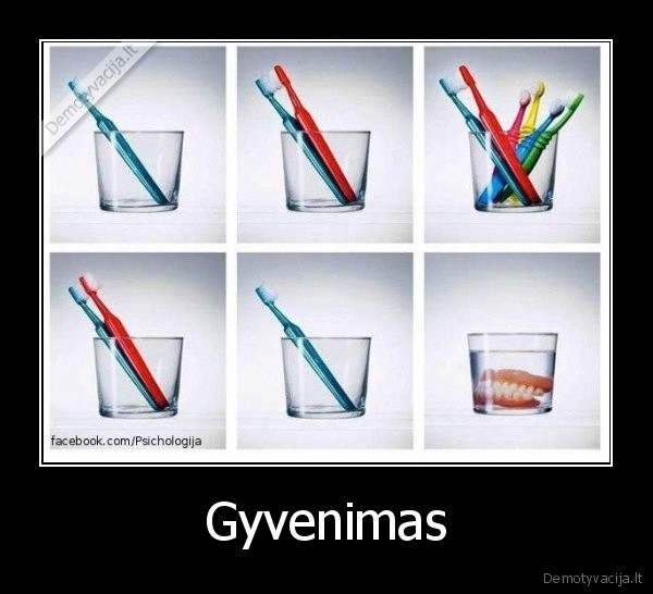 Gyvenimas