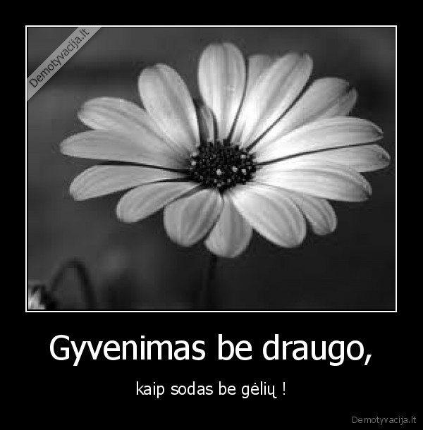 Gyvenimas be draugo,