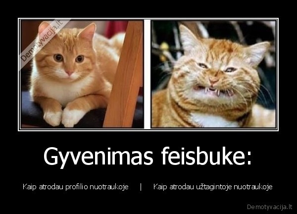 Gyvenimas feisbuke: