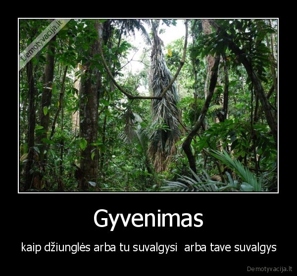 Gyvenimas