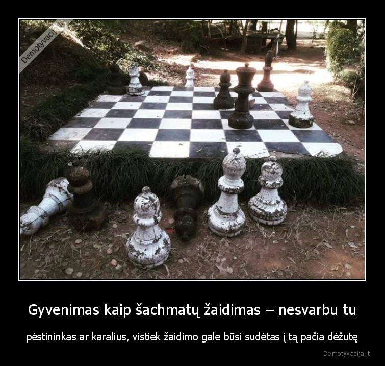 gudriausias,laimi,gyvenimas,sachmatai