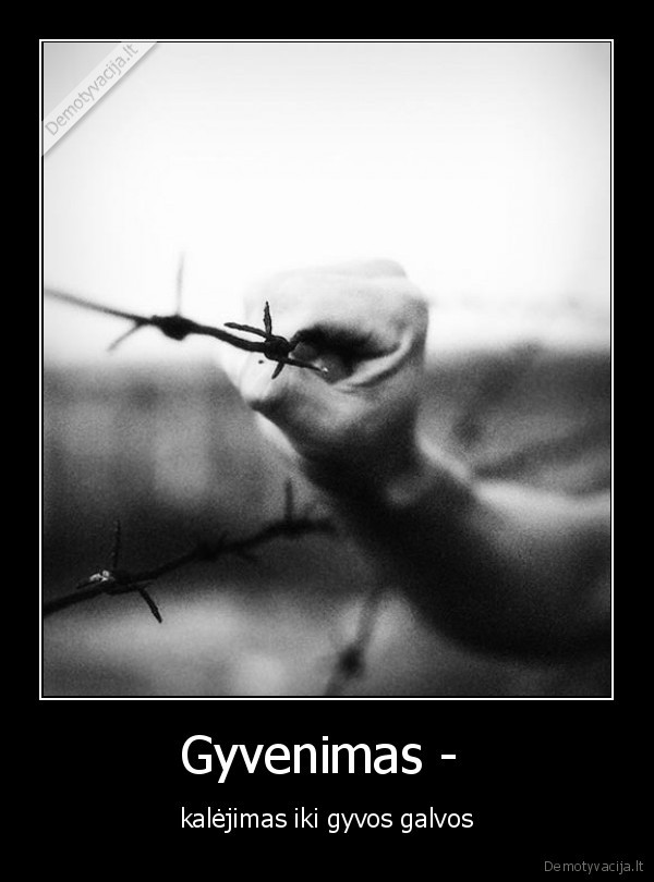 Gyvenimas - 