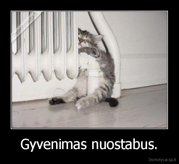 Gyvenimas nuostabus.