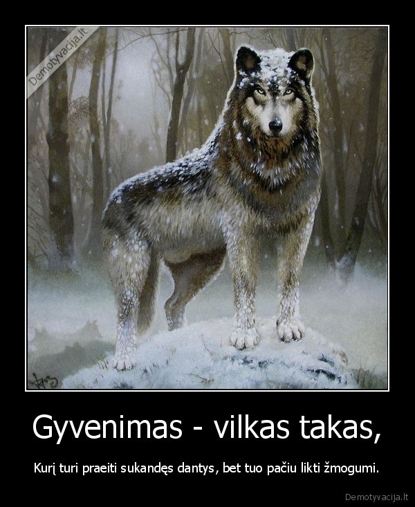 Gyvenimas - vilkas takas,