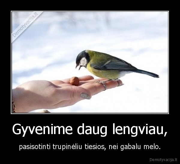 Gyvenime daug lengviau,