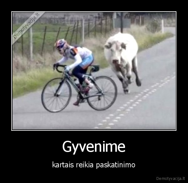 Gyvenime