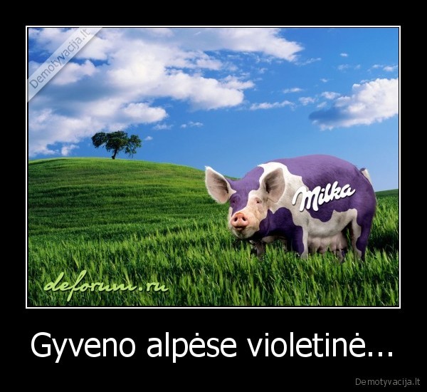 Gyveno alpėse violetinė...