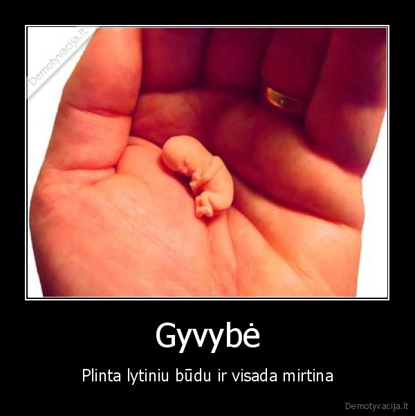 Gyvybė