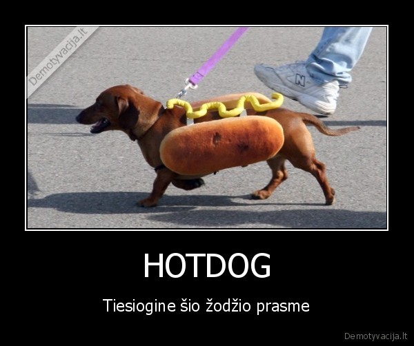 HOTDOG