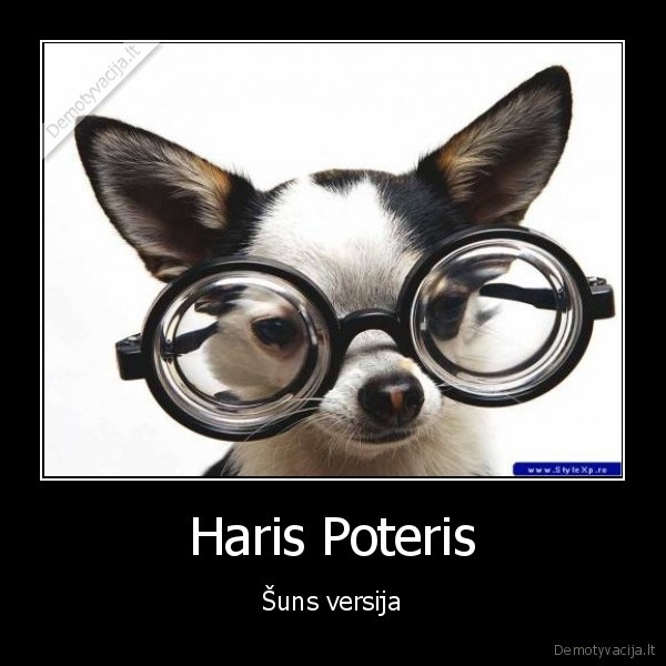 Haris Poteris