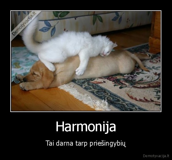 Harmonija