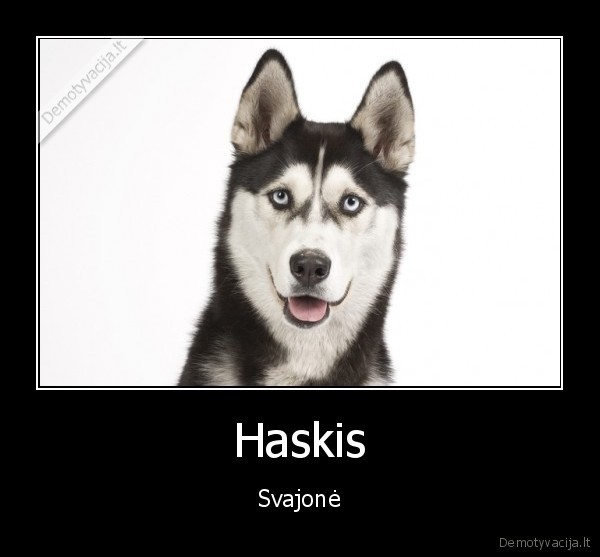 Haskis