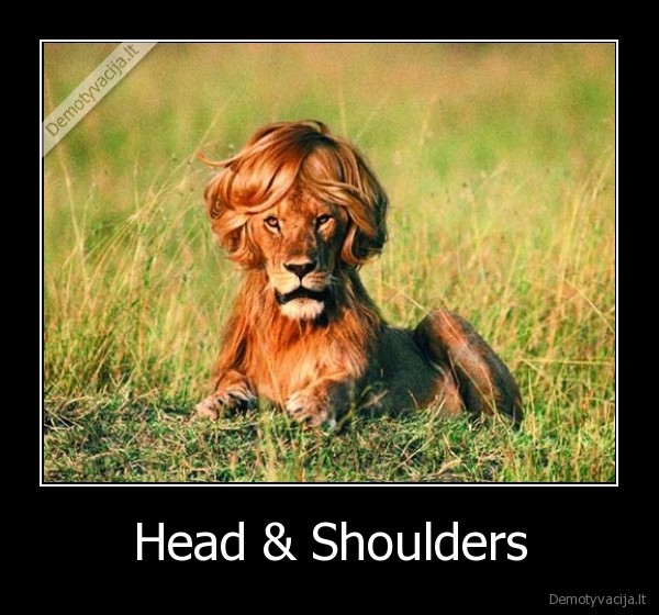 Head &amp; Shoulders