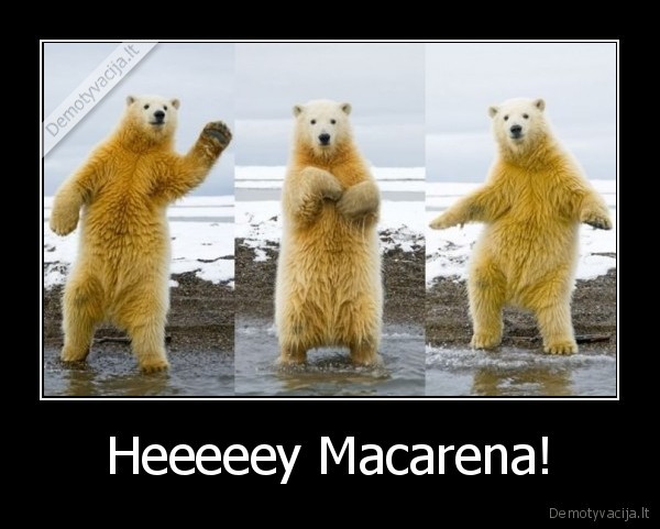 Heeeeey Macarena!