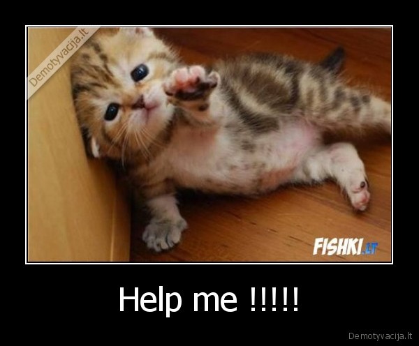 Help me !!!!!