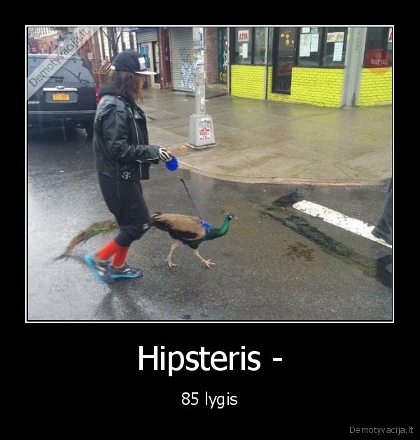 hipsteris