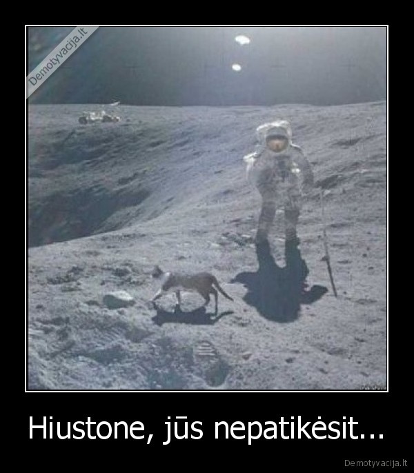 Hiustone, jūs nepatikėsit...