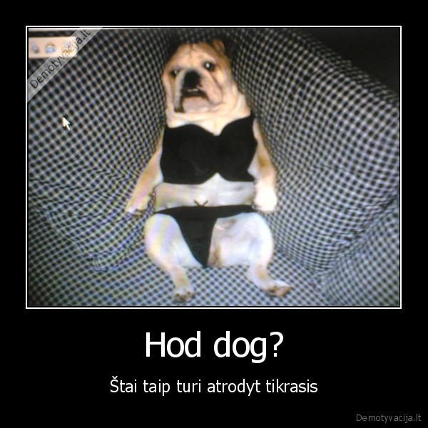 Hod dog?