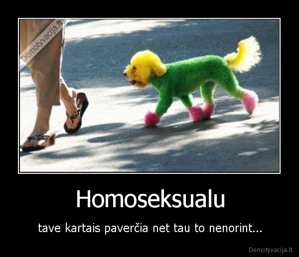 Homoseksualu