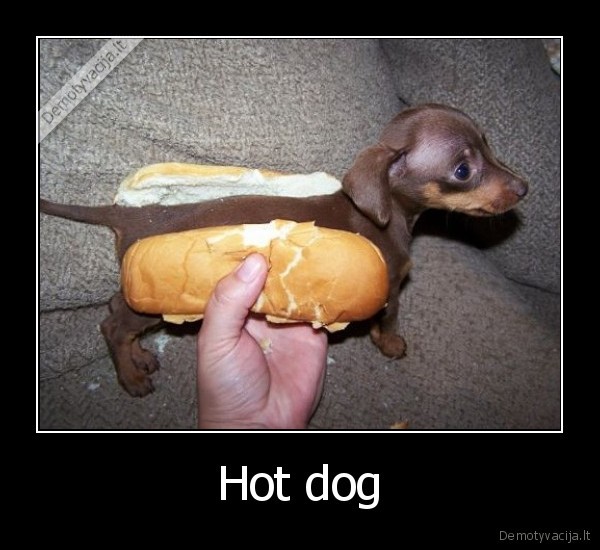 Hot dog