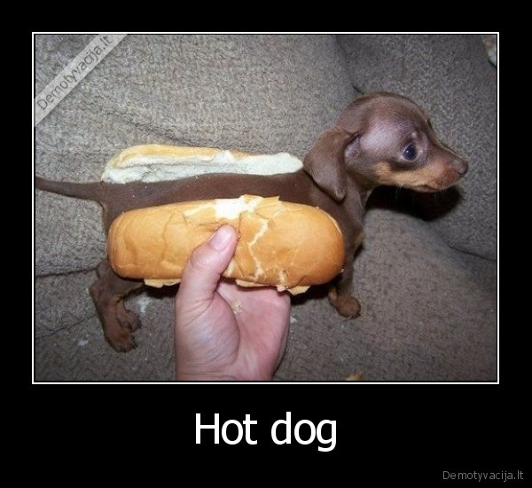 Hot dog