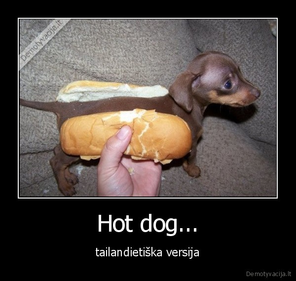 Hot dog...