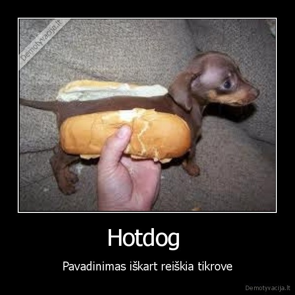 Hotdog 