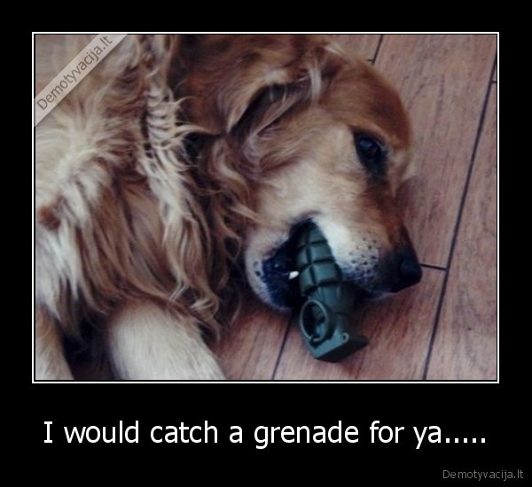 I would catch a grenade for ya.....